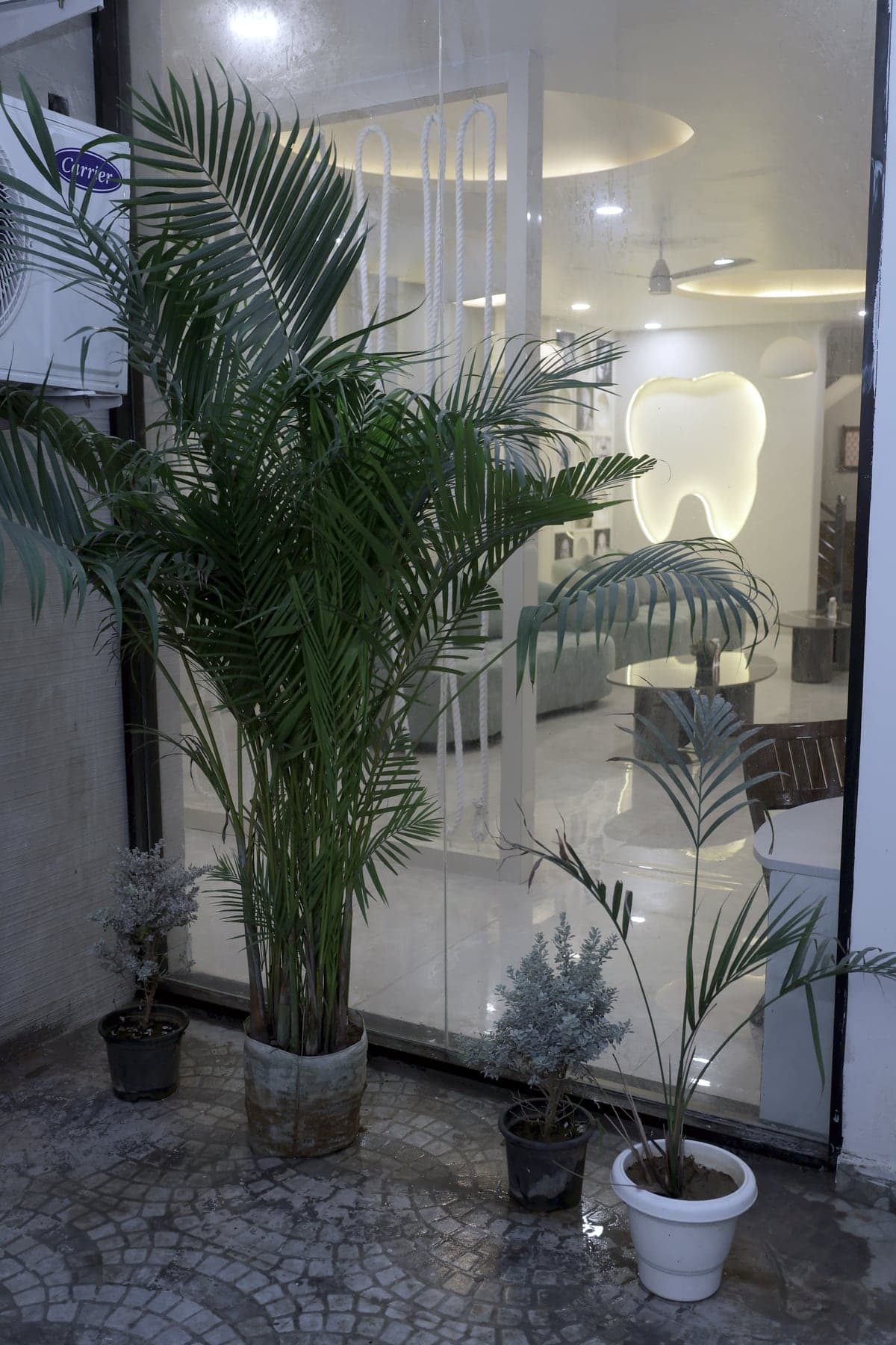 Entrance at The Tooth Cure